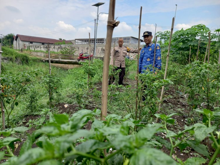 Bhabinkamtibmas Desa Kemantren Bersama Warga Data Kendala Lahan Cabai untuk Ketahanan Pangan
